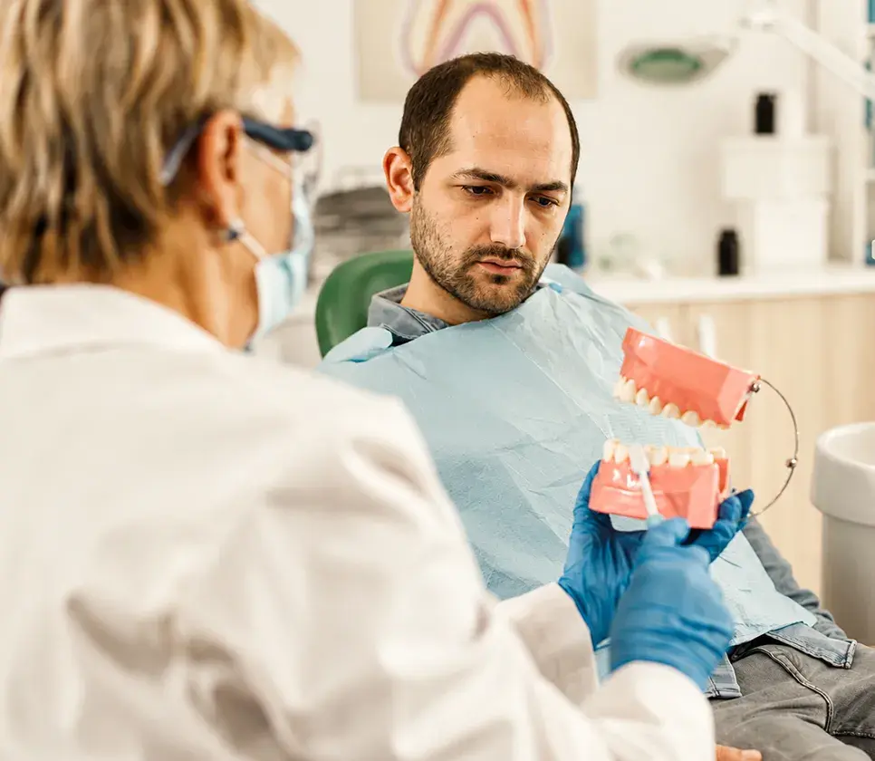 Dentist using a dental model to explain gum health to a patient